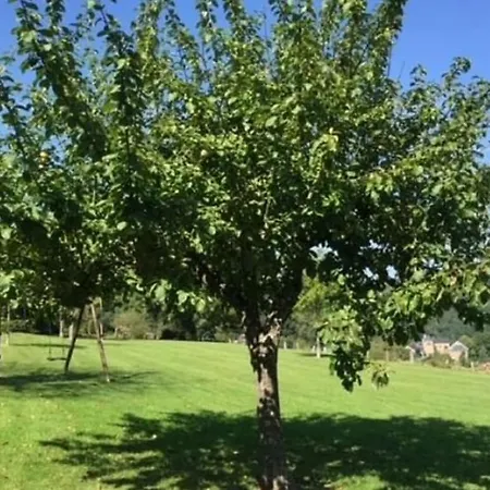 Spacious Villa In Daverdisse With Large Garden Villa Daverdisse