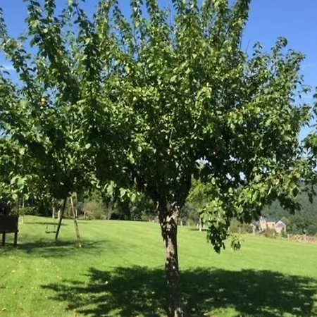 Villa Spacious Villa Near Lesse Daverdisse